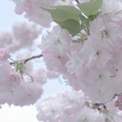 蒲县FurryQQ群介绍